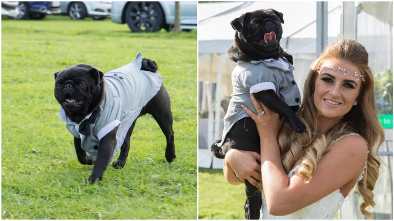 kinver wedding photography