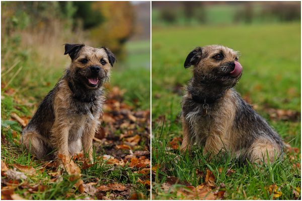 engagement photo shoot isobel ed